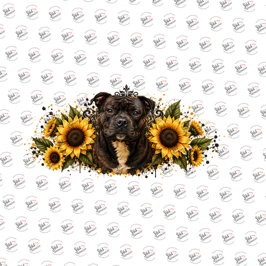Staffordshire in Sonnenblumen als Rub-on-Sticker, einzeln