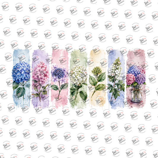 Hortensien-Streifen als Rub-on-Sticker, einzeln
