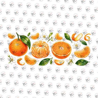 Orangen und Mandarinen als Rub-on-Sticker, einzeln