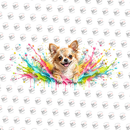 Chihuahua im Farbrausch als Rub-on-Sticker, einzeln