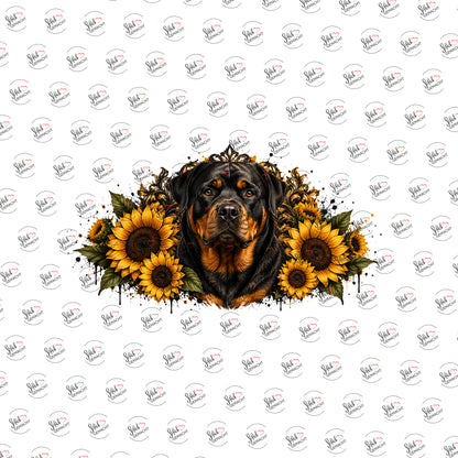 Rottweiler im Sonnenblumenkranz als Rub-on-Sticker, einzeln