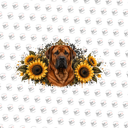 Boerboel in Sonnenblumen als Rub-on-Sticker, einzeln